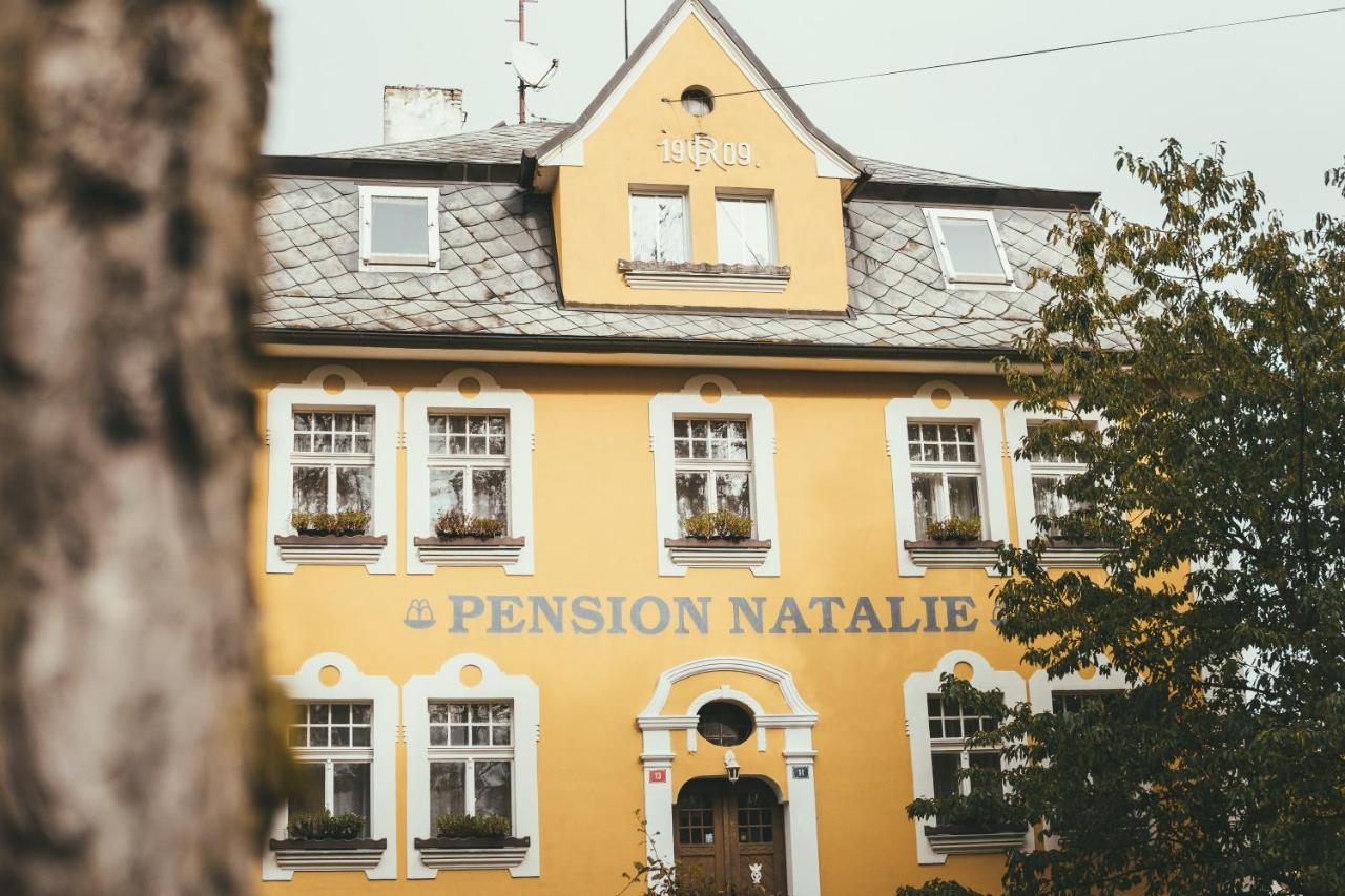 Apartmány Natálie Františkovy Lázně Exterior foto