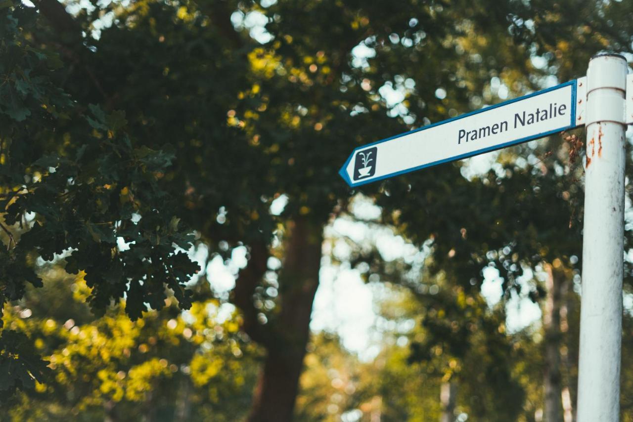 Apartmány Natálie Františkovy Lázně Exterior foto